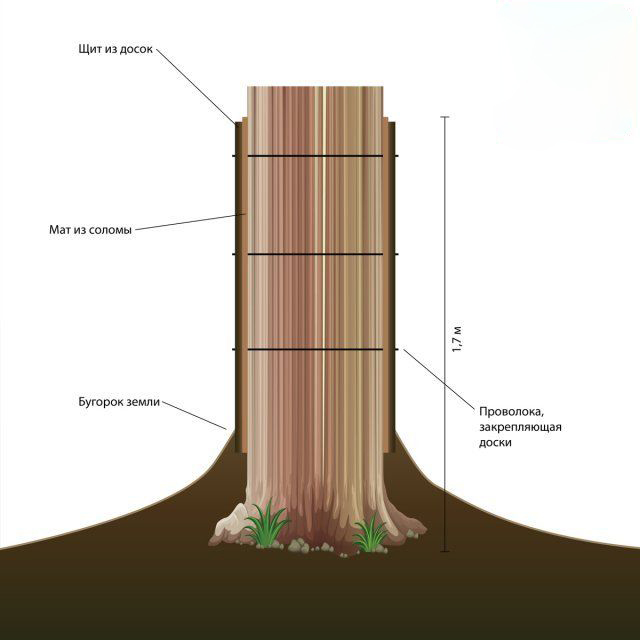 защита дерева на стройке